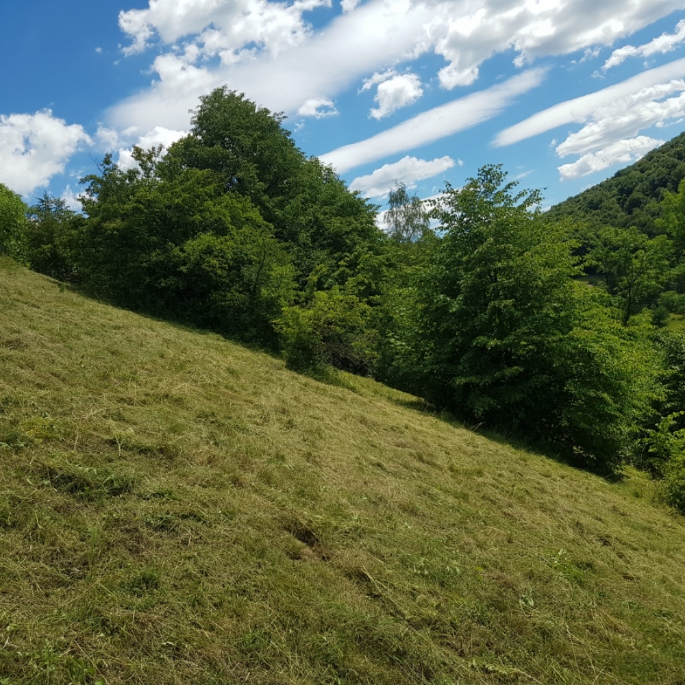 Provedení péče o zvláště chráněné území Štramberk