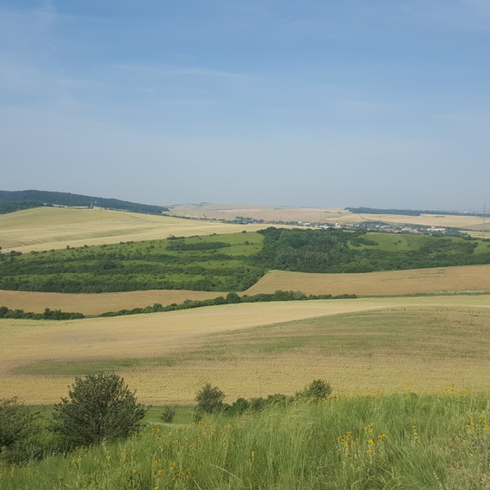 Obnovní management území národního významu na Jižní Moravě - část 1. - PAS-2019 - 2021