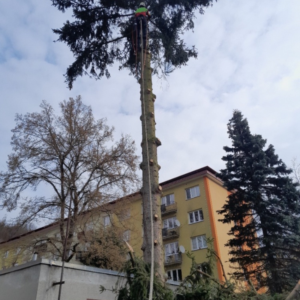 Odstraňování nevhodné vegetace v ochranném pásmu plynovodů