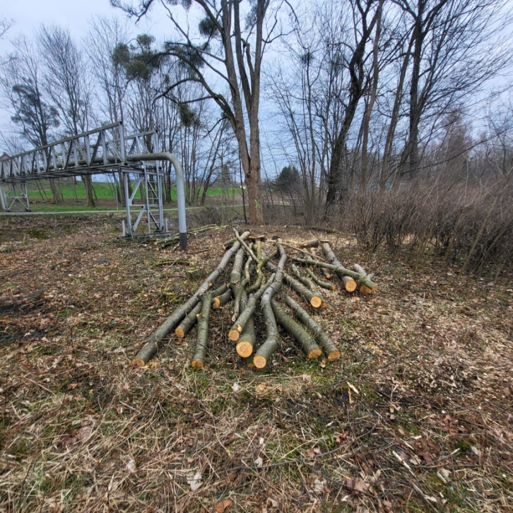 Odstraňování nevhodné vegetace v ochranném pásmu plynovodů