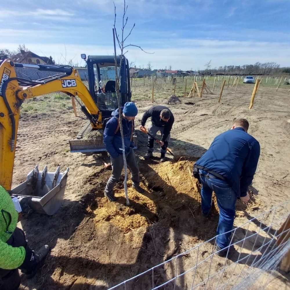 Obnova dětského městečka po tornádu 2024 - vegetační úpravy