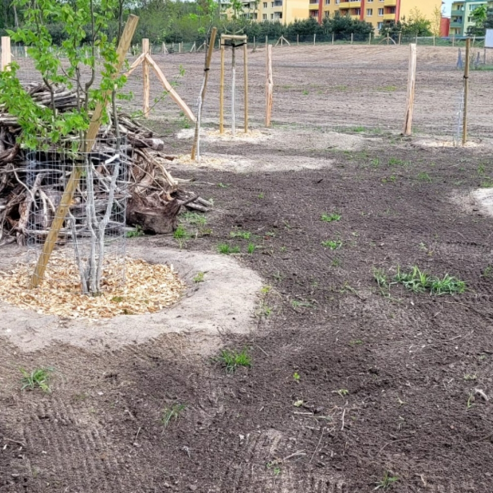 Obnova dětského městečka po tornádu 2024 - vegetační úpravy