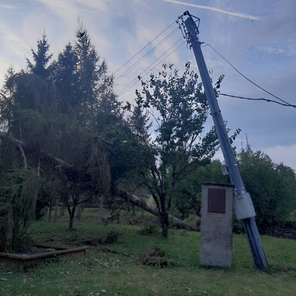 Operativní ořezy a kácení po povodních 2024