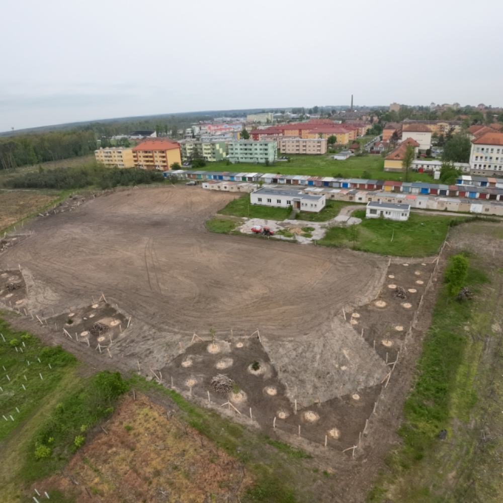 Obnova dětského městečka po tornádu 2024 - vegetační úpravy